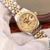 WaterMark (1)