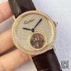 WaterMark (1)