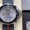 101(PAM01681)