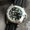 101(PAM01024)