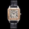 Cartier Santos W2SA0038 F1 Factory Replica Watch - Best Quality Replica Watches UK Swiss Watch Brands 1:1 Replica Fake Watch